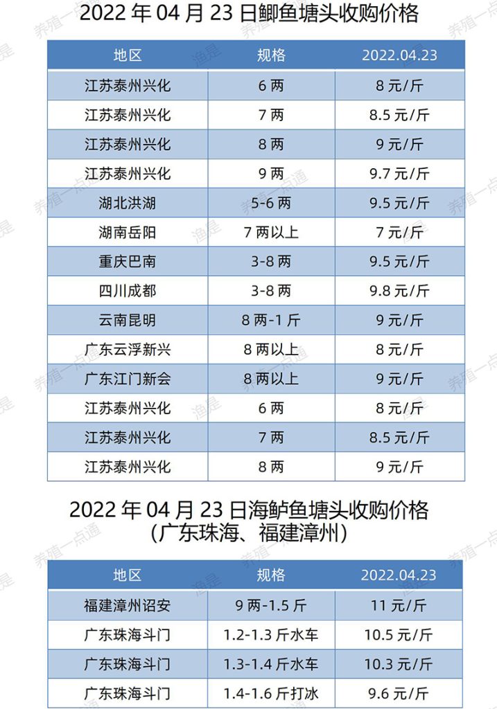 2022.04.23，鲫鱼、海鲈鱼塘头收购价。