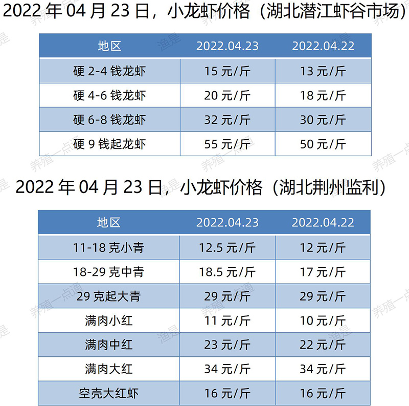 2022.04.23，小龙虾价格（湖北）