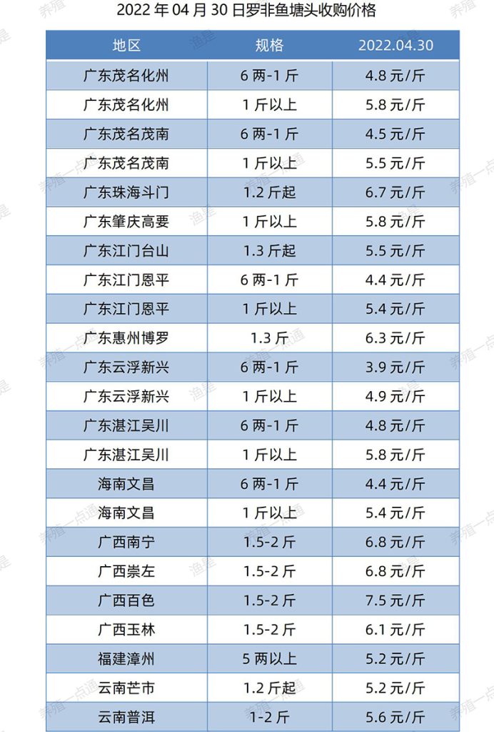 2022.04.30，罗非鱼塘头收购价