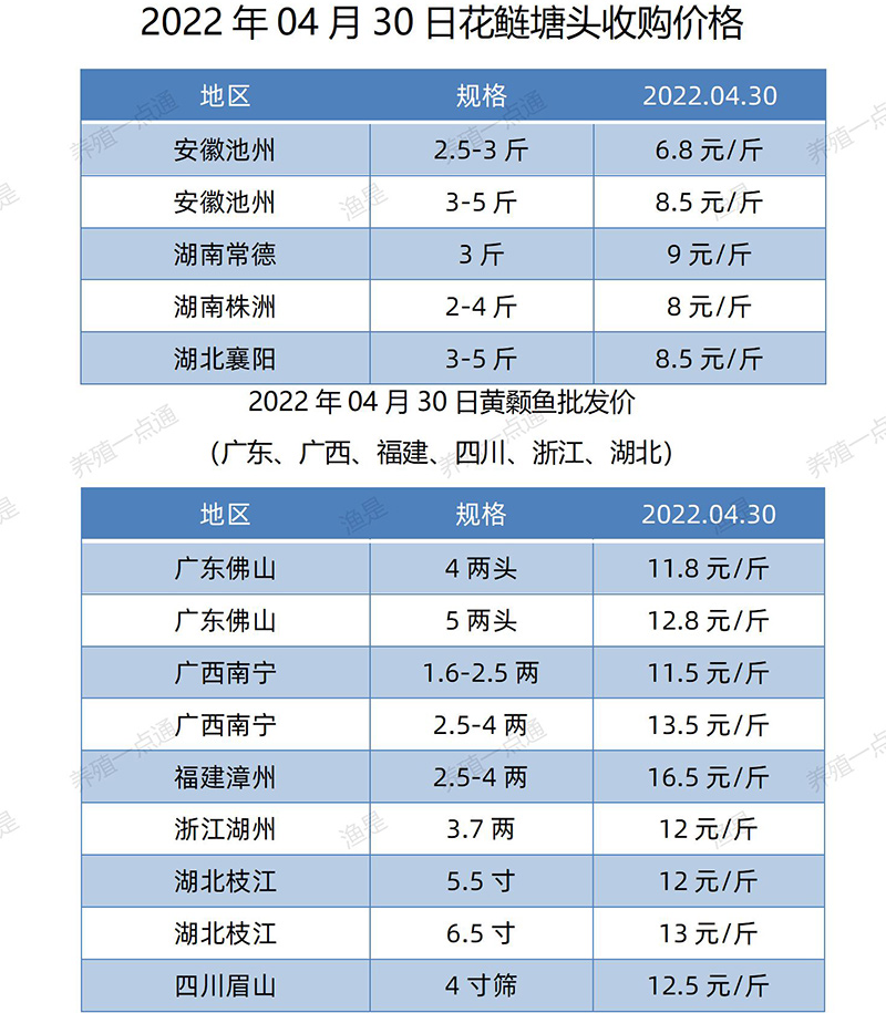 2022.04.30，花鲢、黄颡鱼塘头收购价