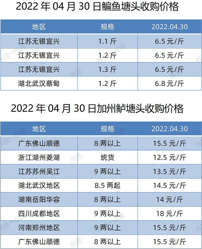 2022.04.30，鳊鱼、加州鲈塘头收购价