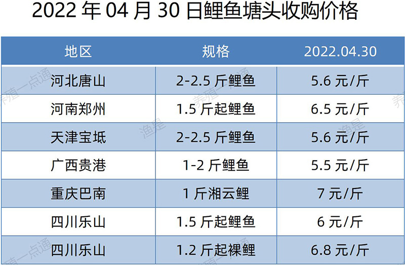 2022.04.30，鲤鱼塘头收购价