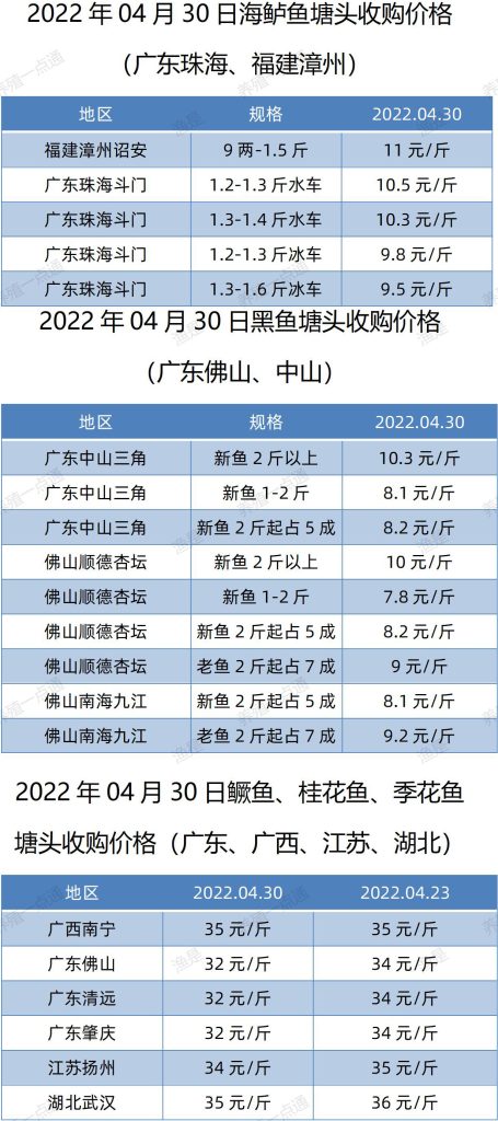 2022.04.30，海鲈、黑鱼、鳜鱼塘头收购价