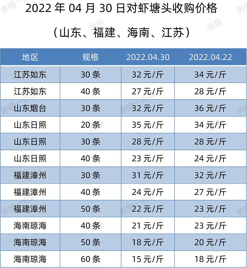 2022.04.30，南美白对虾塘头收购价格（江苏、山东、福建、海南）