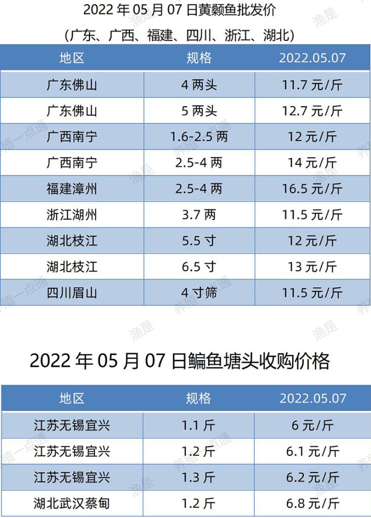 2022.05.07，黄颡鱼、鳊鱼塘头收购价