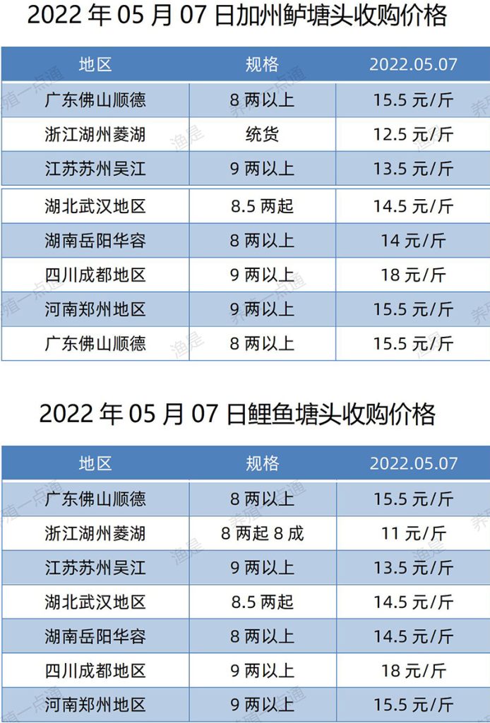 2022.05.07，加州鲈、鲤鱼塘头收购价