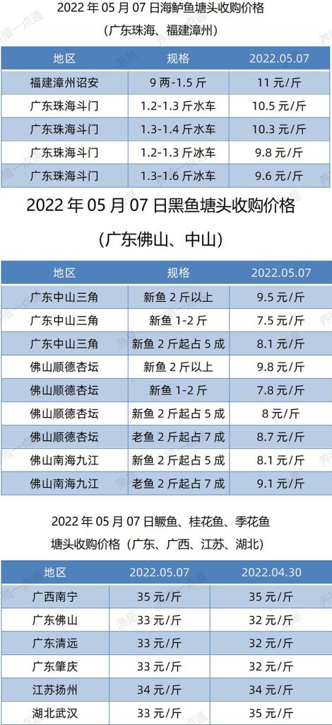 2022.05.07，海鲈、黑鱼、鳜鱼塘头收购价