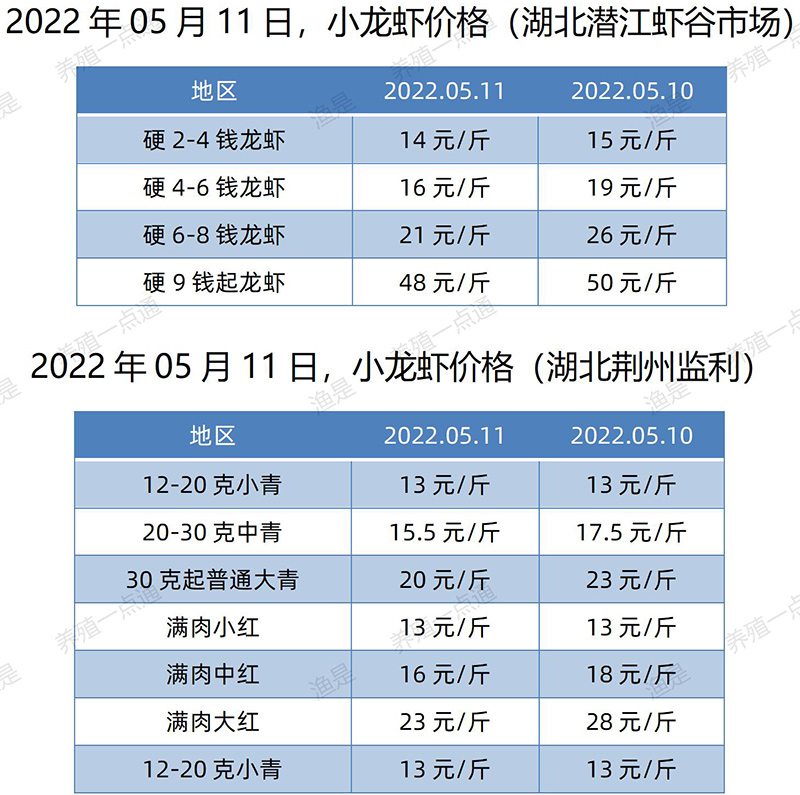 2022.05.11，小龙虾价格（湖北）