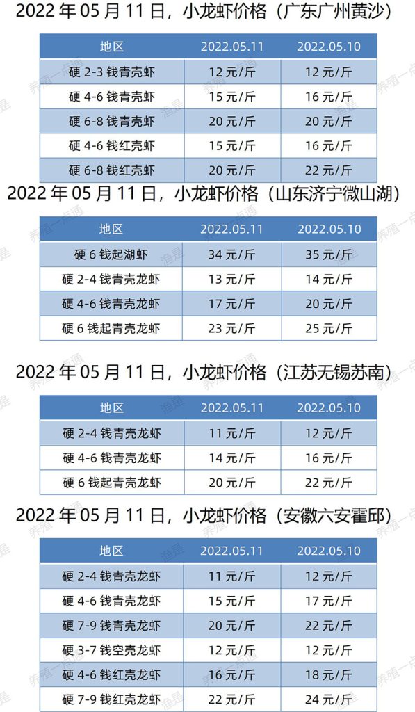 2022.05.11，小龙虾价格（江苏、安徽、山东、广东）