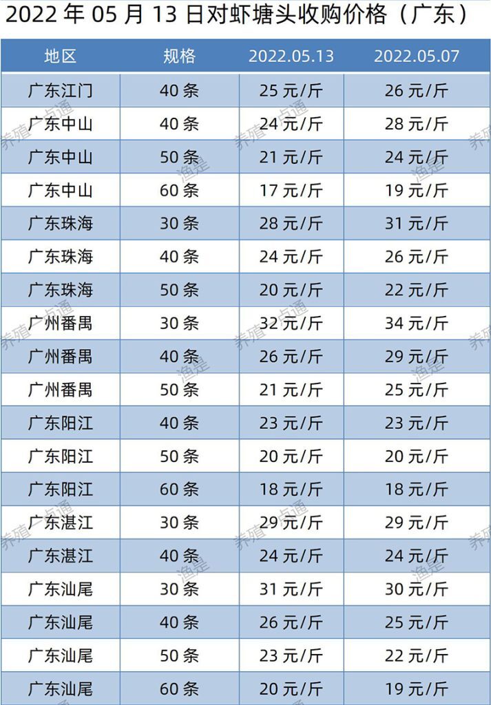 2022.05.13，南美白对虾塘头收购价格（广东）