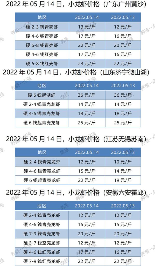 2022.05.14，小龙虾价格（江苏、安徽、山东、广东）