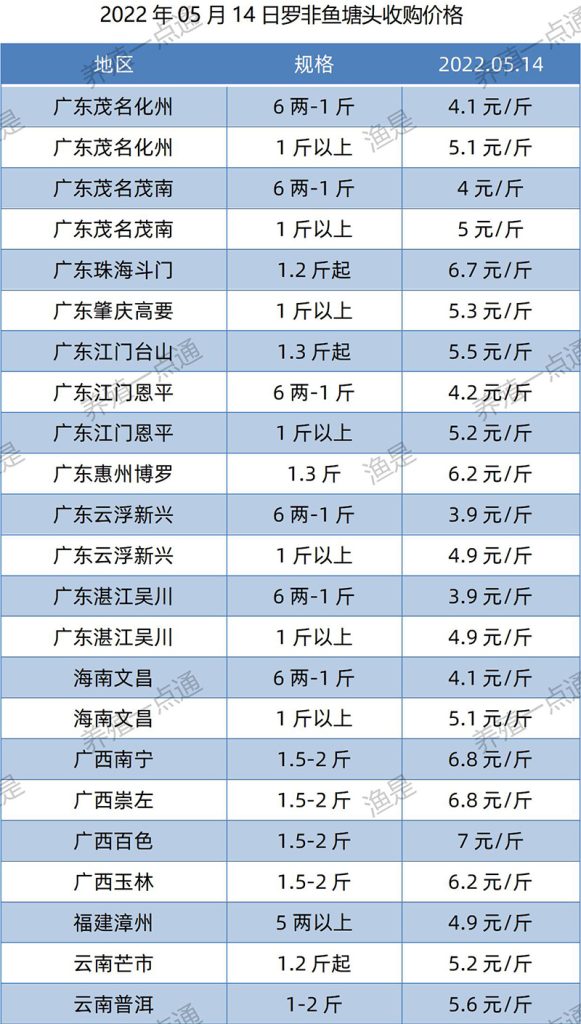 2022.05.14，罗非鱼塘头收购价