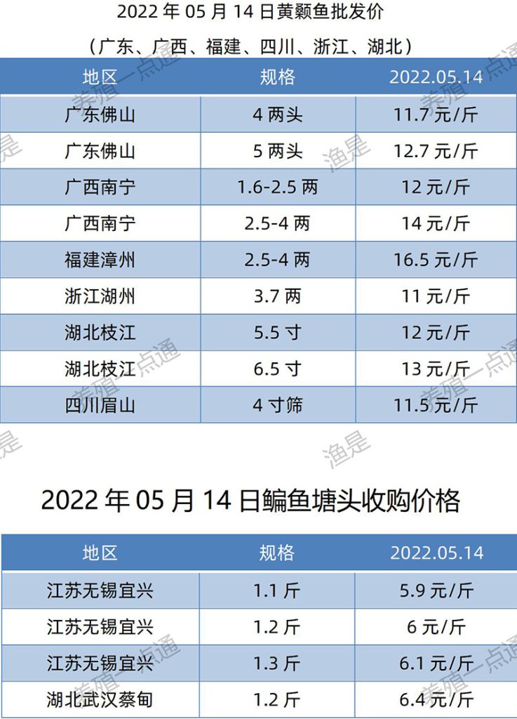 2022.05.14，黄颡鱼、鳊鱼塘头收购价