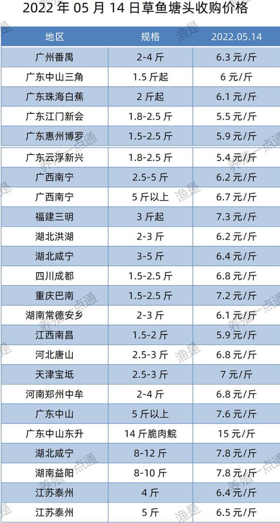 2022.05.14，草鱼塘头收购价