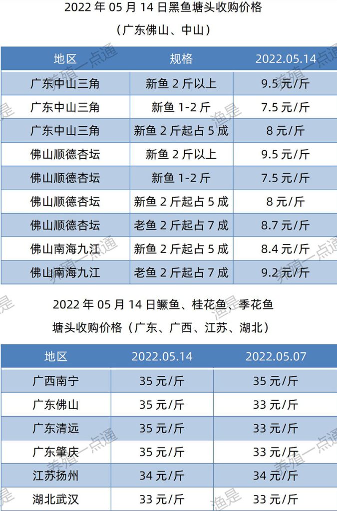 2022.05.07，黑鱼、鳜鱼塘头收购价