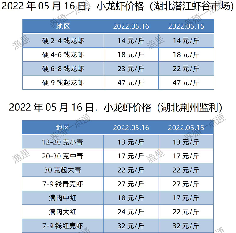 2022.05.16，小龙虾价格（湖北）