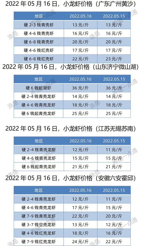 2022.05.16，小龙虾价格（江苏、安徽、山东、广东）