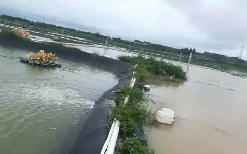 鱼虾塘雨后管理，预防+巡塘