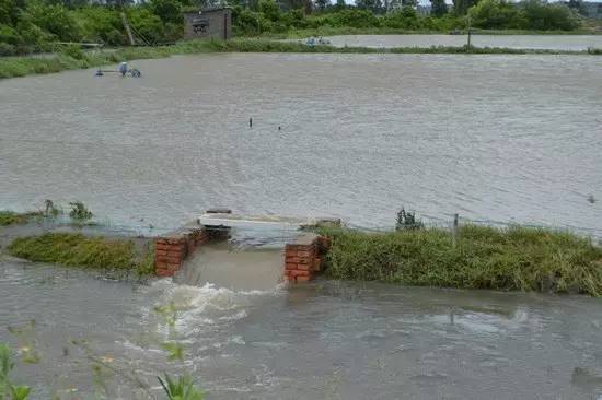 鱼虾塘遭遇暴雨