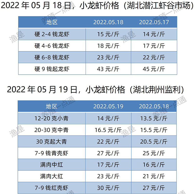 2022.05.19，小龙虾价格（湖北）
