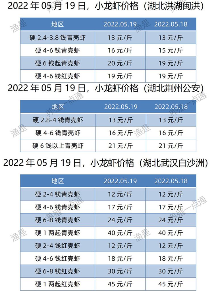 【渔是菌相宝】2022.05.19，小龙虾价格（湖北、湖南、江苏、安徽、山东、广东）