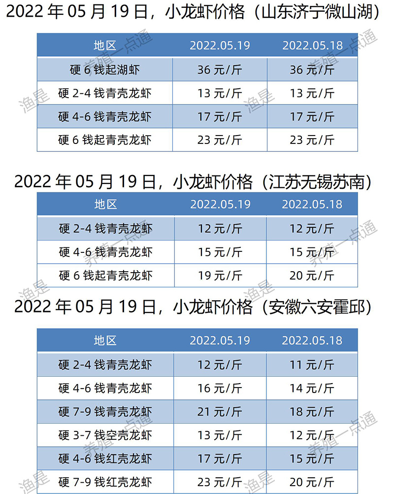 2022.05.19，小龙虾价格（江苏、安徽、山东、广东）