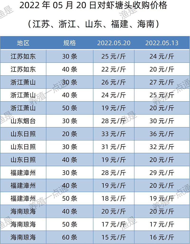 2022.05.20，南美白对虾塘头收购价格（江苏、山东、福建、海南）