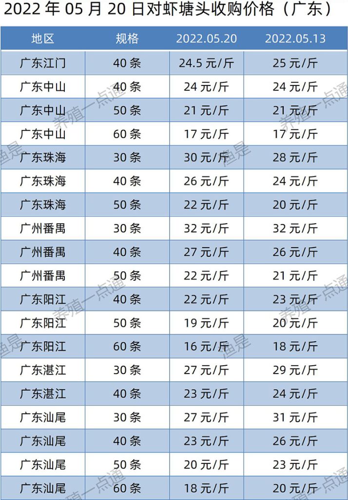 2022.05.20，南美白对虾塘头收购价格（广东）