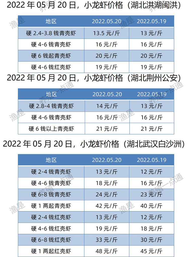 2022.05.20，小龙虾价格（湖北）