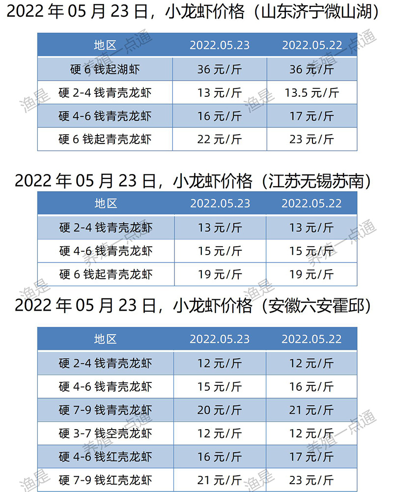 2022.05.23，小龙虾价格（江苏、安徽、山东、广东）