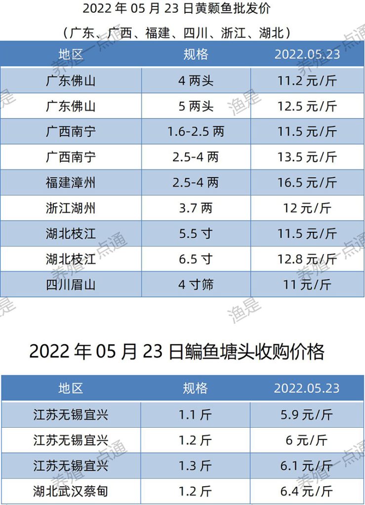 2022.05.23，黄颡鱼、鳊鱼塘头收购价