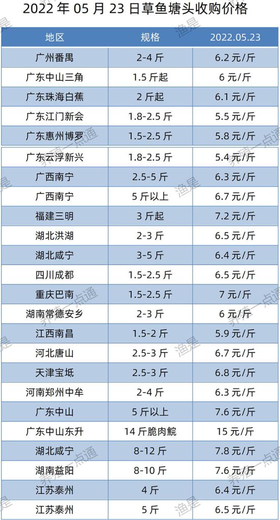 2022.05.23，草鱼塘头收购价