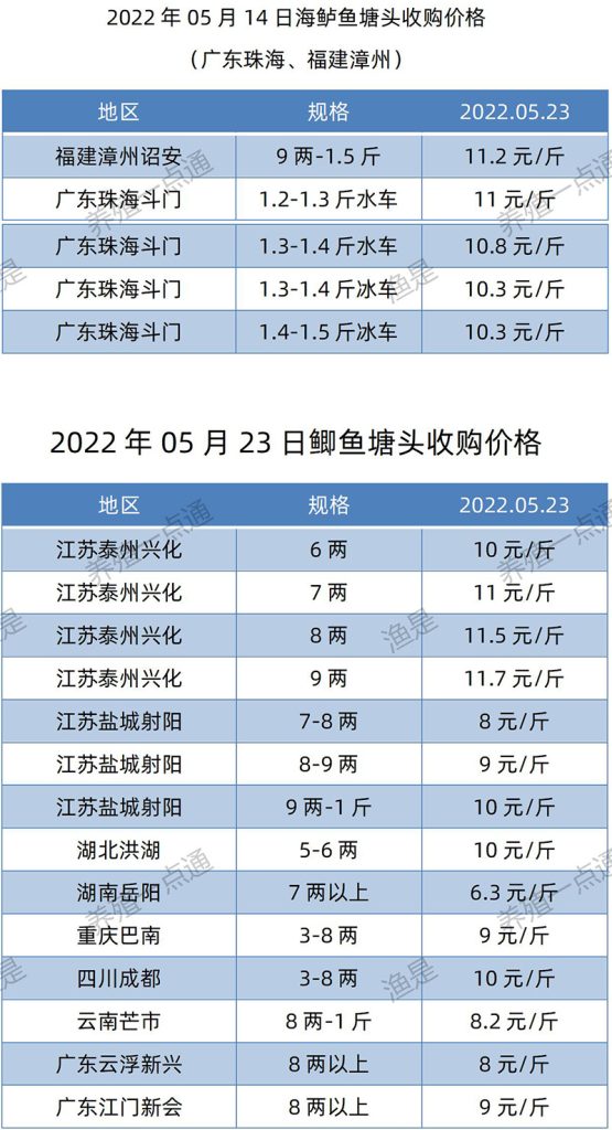 2022.05.23，海鲈、鲫鱼塘头收购价