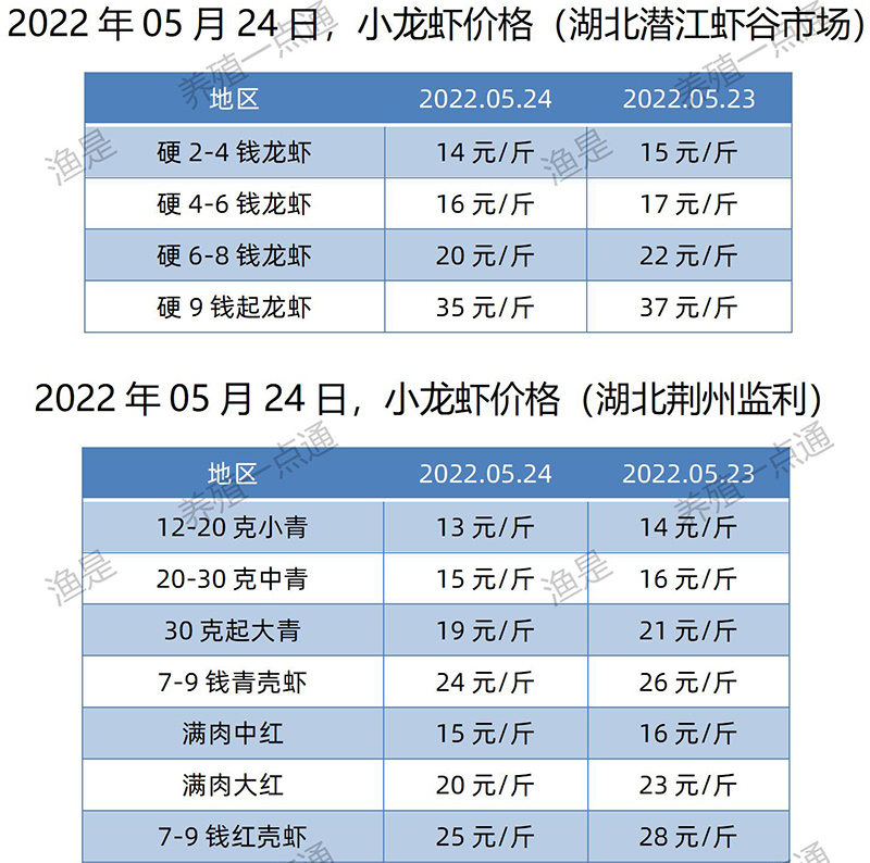 2022.05.24，小龙虾价格（湖北）