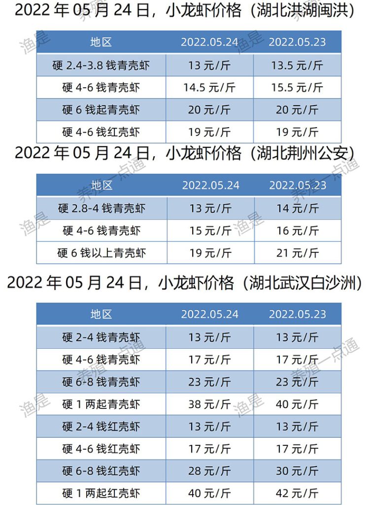 2022.05.24，小龙虾价格（湖北）