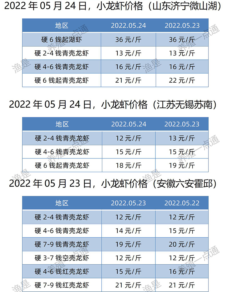 2022.05.24，小龙虾价格（江苏、安徽、山东、广东）