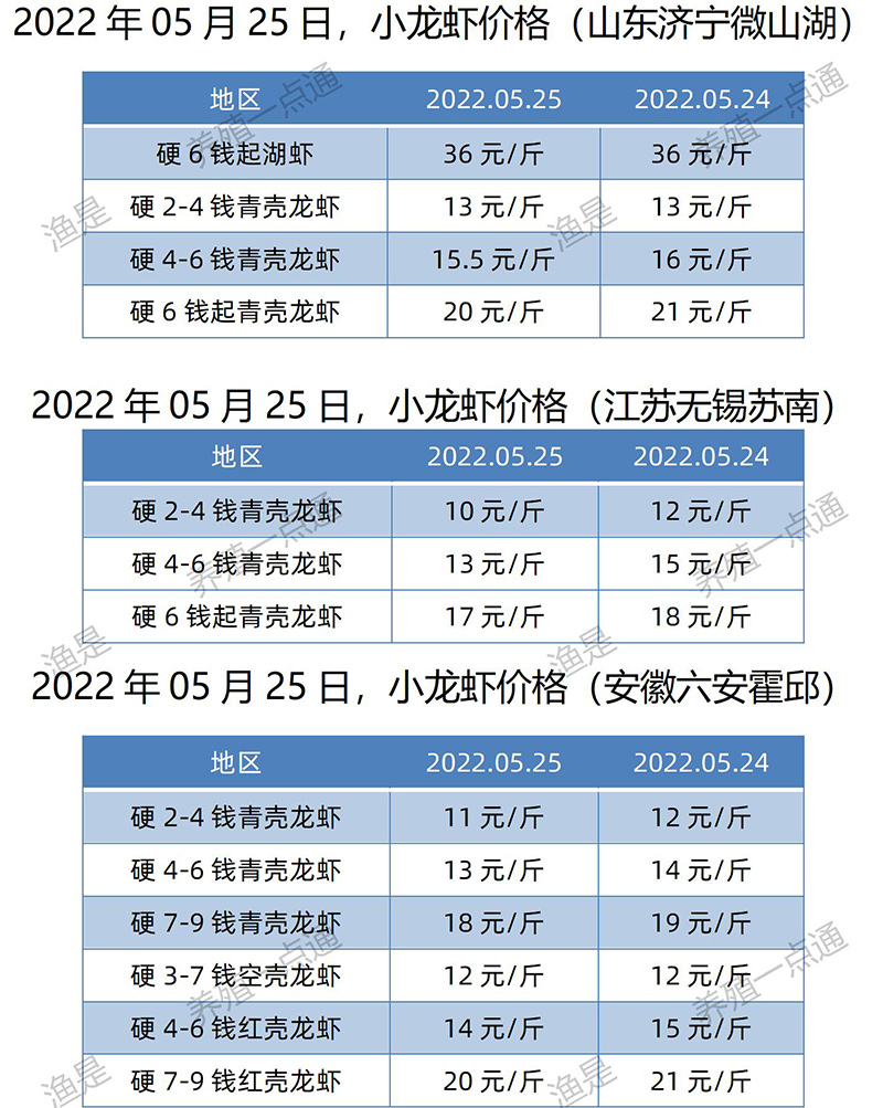 2022.05.25，小龙虾价格（江苏、安徽、山东、广东）