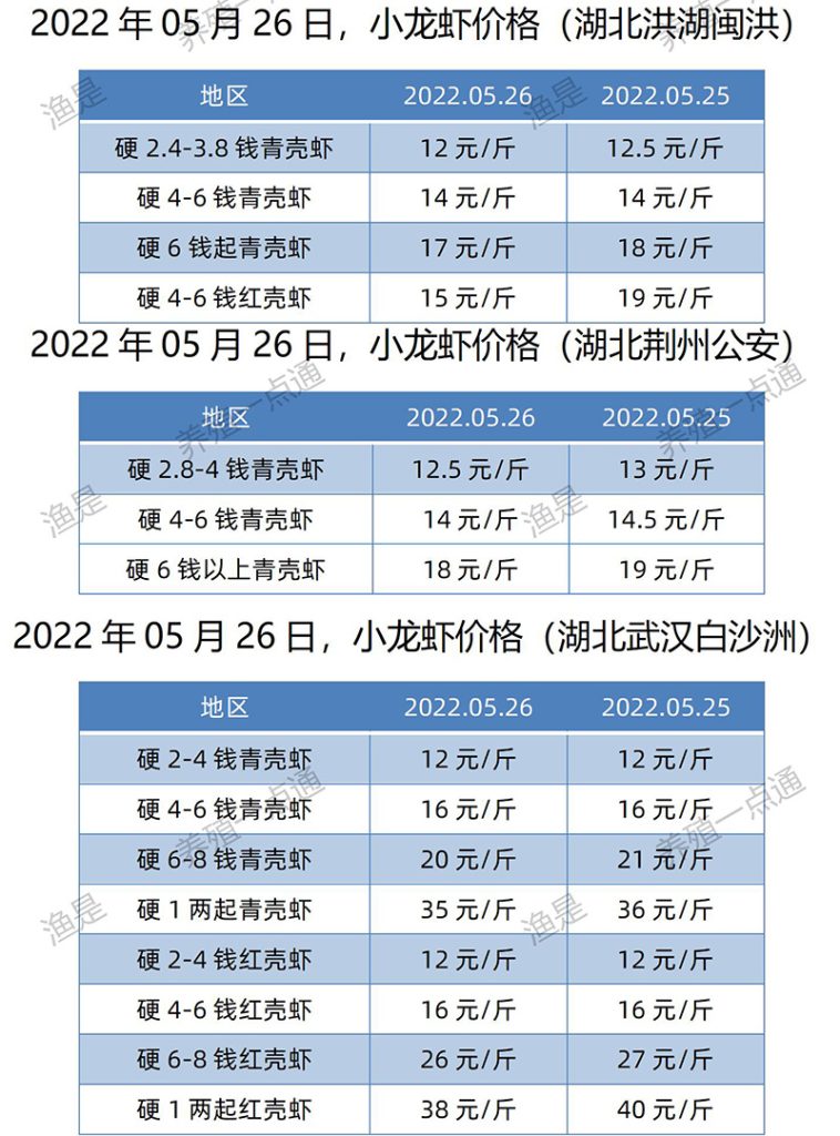 2022.05.26，小龙虾价格（湖北）