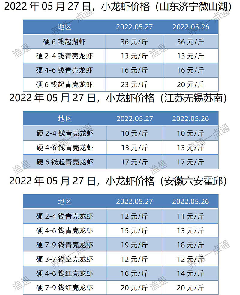 2022.05.27，小龙虾价格（江苏、安徽、山东、广东）