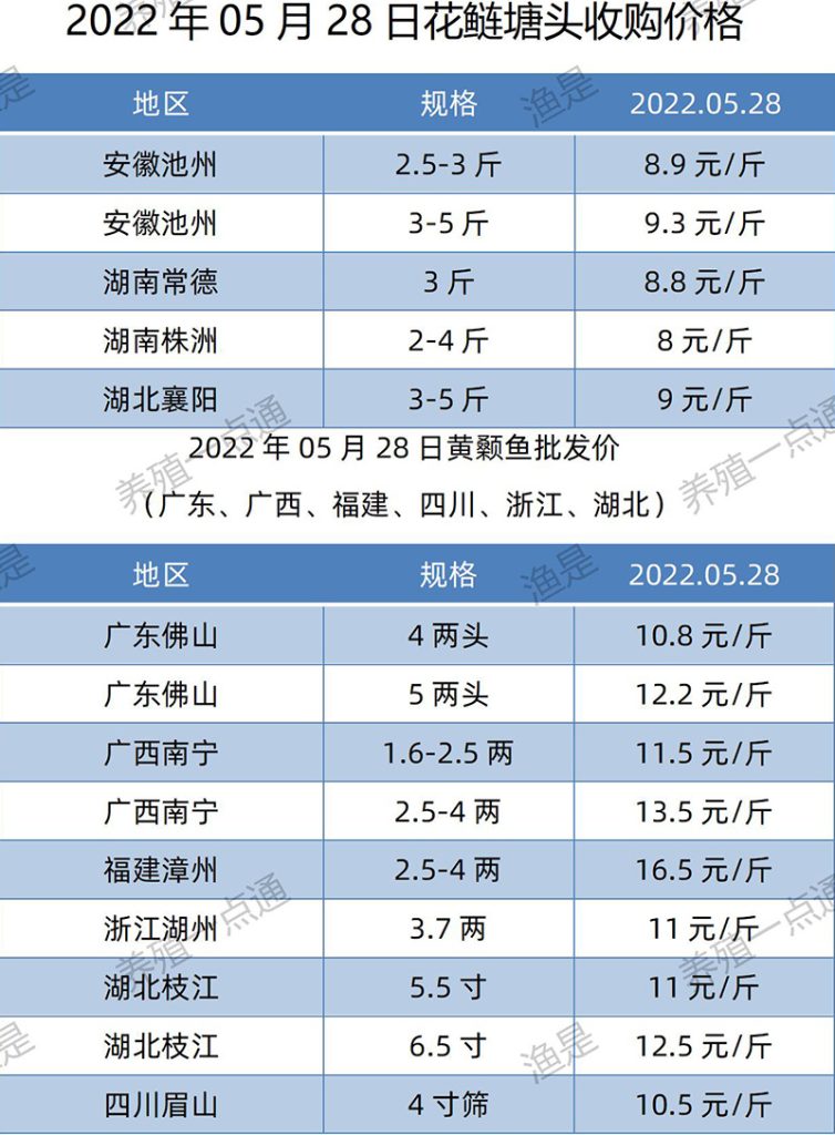 2022.05.28，花鲢、黄颡鱼塘头收购价