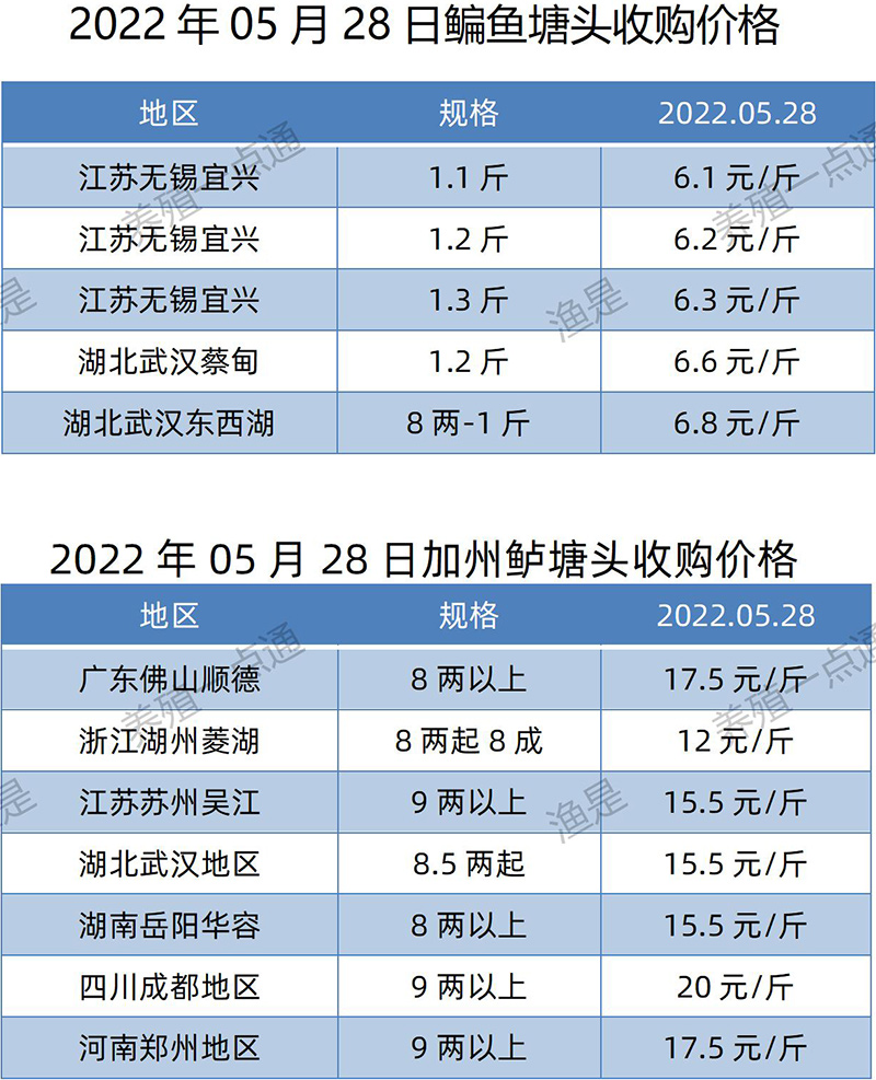 2022.05.28，鳊鱼、加州鲈塘头收购价