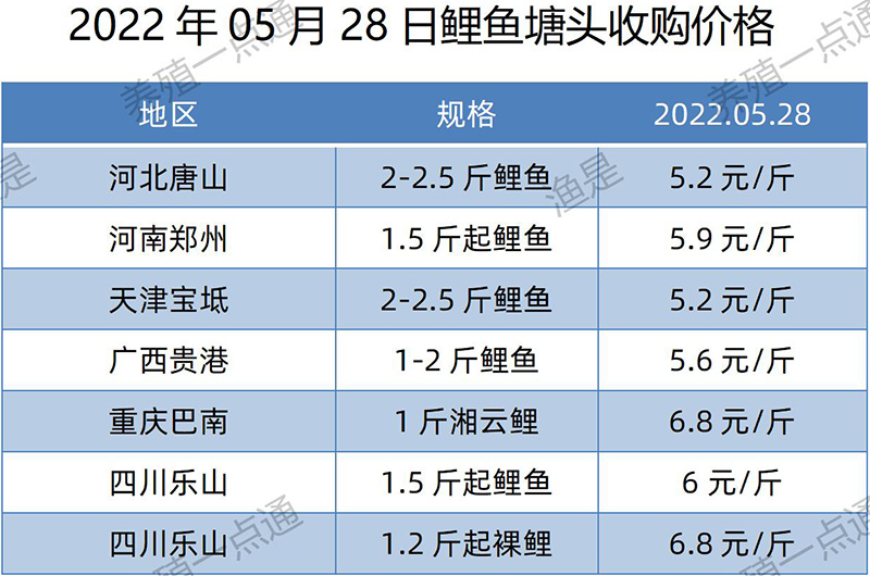 2022.05.28，鲤鱼塘头收购价