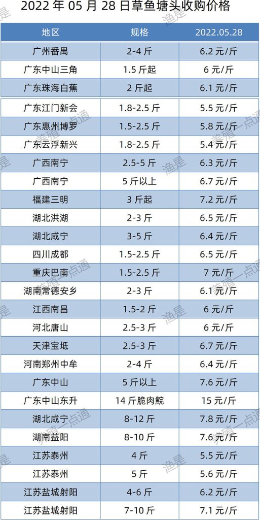 2022.05.28，草鱼塘头收购价