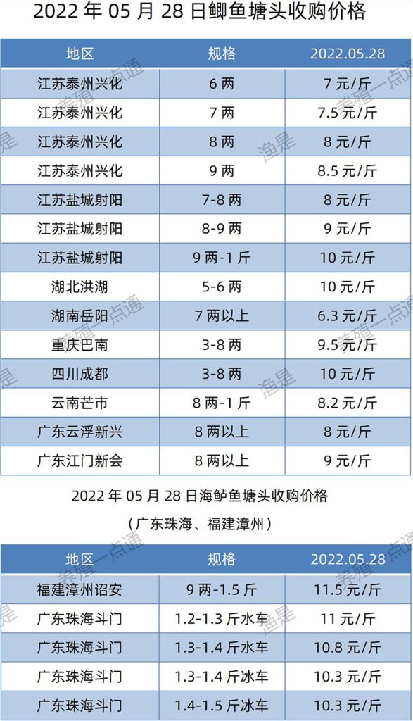 2022.05.28，鲫鱼、海鲈塘头收购价