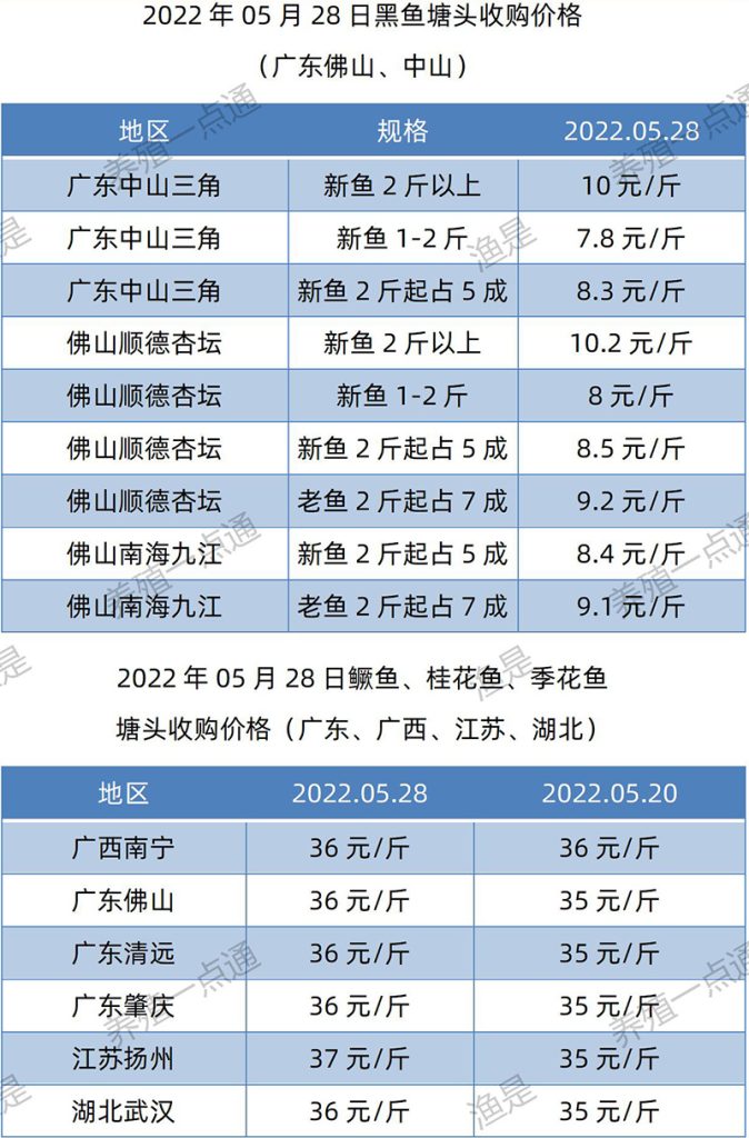 2022.05.28，黑鱼、鳜鱼塘头收购价