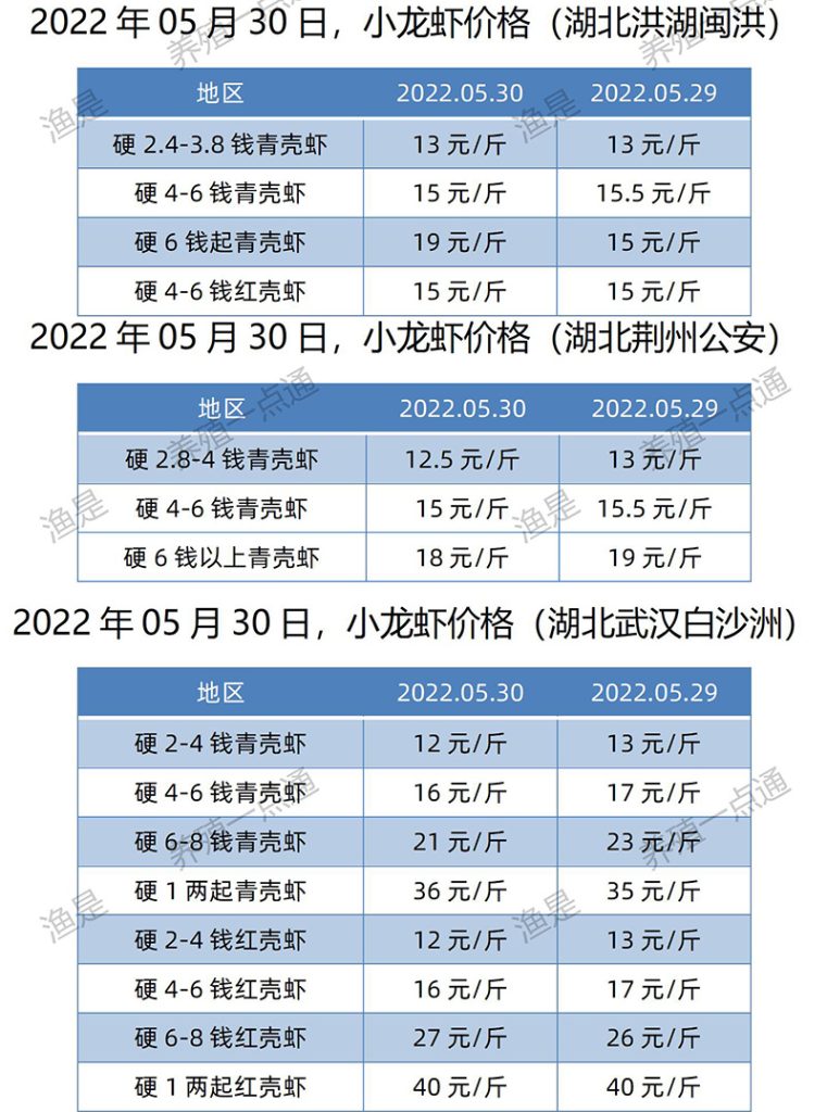 2022.05.30，小龙虾价格（湖北）