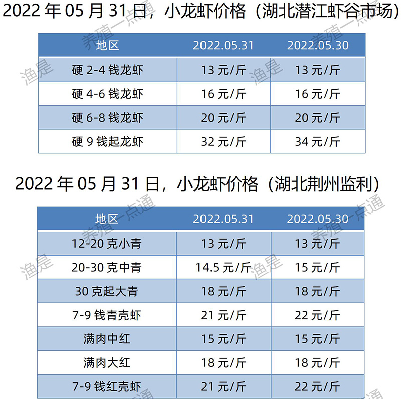 2022.05.31，小龙虾价格（湖北）