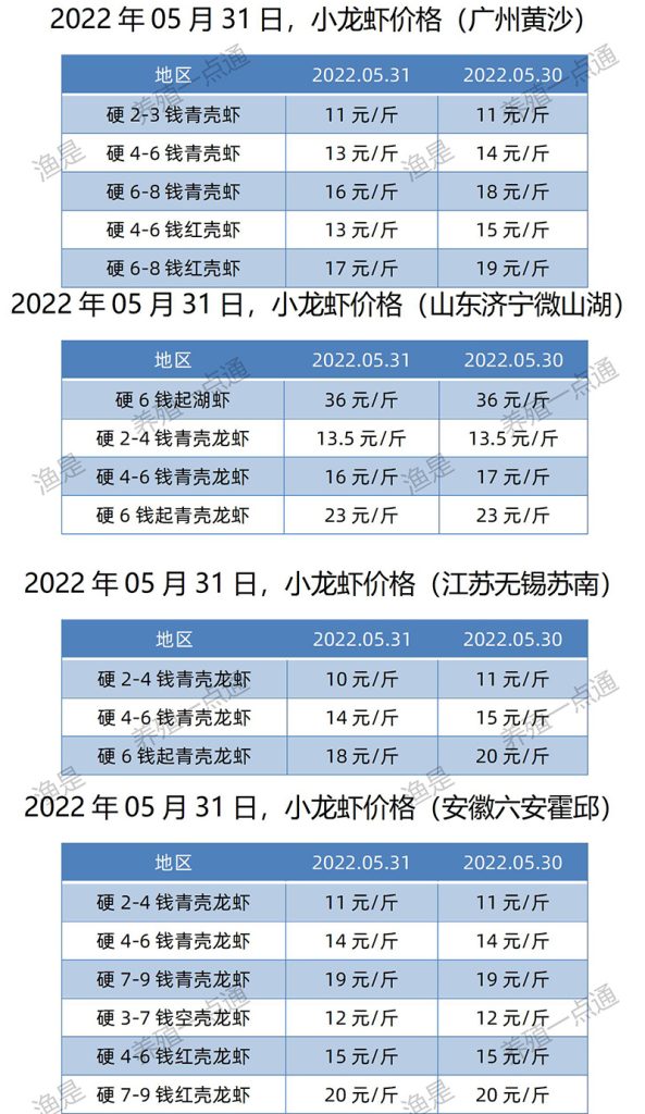 2022.05.31，小龙虾价格（江苏、安徽、山东、广东）