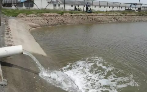 鱼虾塘夏季换注水四法提升进阶，无成本增氧调水
