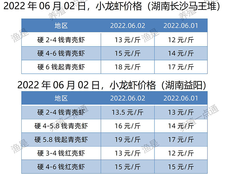 2022.06.02，小龙虾价格（湖南）